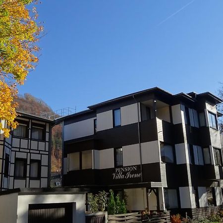 Pension Villa Irene Бад Харцбург Екстериор снимка
